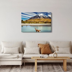 Obraz - Národný park Torres del Paine (90x60 cm)