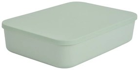 Svetlozelený plastový úložný box s vekom 35,5x25,5x8 cm – Homéa