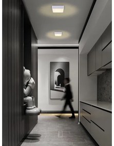 Immax NEO 07238L - LED Stmievateľné stropné svietidlo CANTO 22W/230V biela Tuya +DO