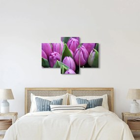 Obraz - kvety tulipánov (90x60 cm)