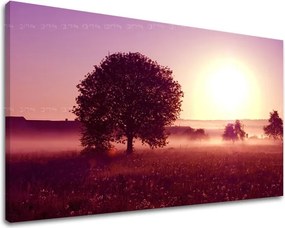 Obraz na stenu ZÁPAD SLNKA ZS020E11