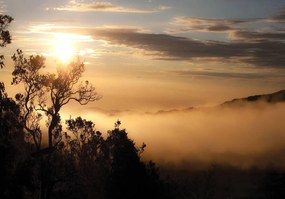 Fototapeta - Východ slnka nad hmlou lesa (152,5x104 cm)