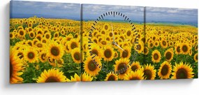 Obraz slnečnicového poľa (s hodinami) (90x30 cm)