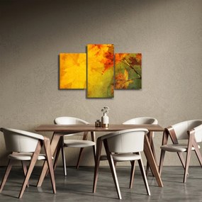 Obraz - Jesenné listy (90x60 cm)