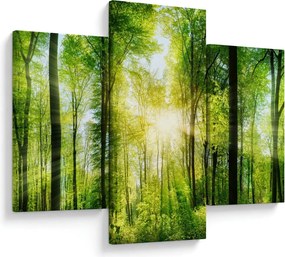 Obraz - Svitanie v lese (90x60 cm)