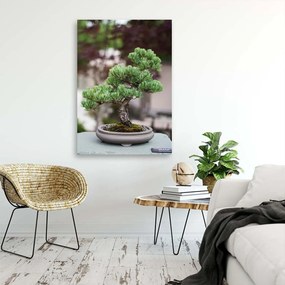 Gario Obraz na plátne Bonsai strom na kameňoch Rozmery: 40 x 60 cm