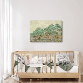 Obraz - Vincent van Gogh, The Olive Orchard, reprodukcia (90x60 cm)
