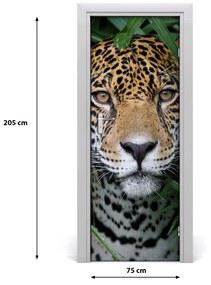 Fototapeta samolepiace na dvere Amazónie jaguár 75x205 cm