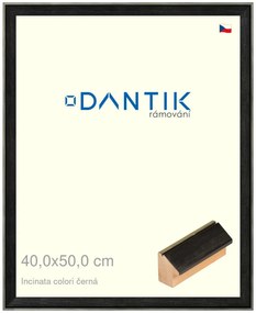 DANTIK rám na obraz 40x50 | INCLINATA colori černá (Sklo Čiré)