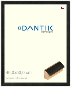 DANTIK rám na obraz 40x50 | INCLINATA colori černá (Sklo Čiré)