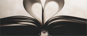 Obraz knihy (120x50 cm)