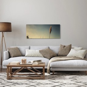Obraz s trávou (120x50 cm)
