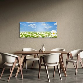 Obraz rozkvitnutej lúky s margarétkami (120x50 cm)