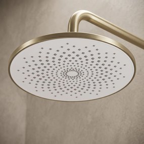 Rea JS-021, okrúhla dažďová sprchová hlavica, Ø 22,5 cm, zlatá matná, REA-P0391