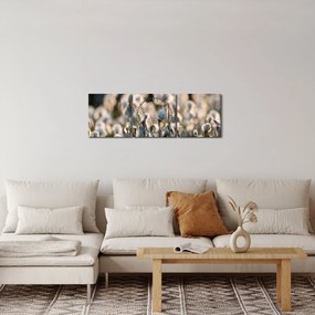 Obraz - Biely páperník (s hodinami) (90x30 cm)