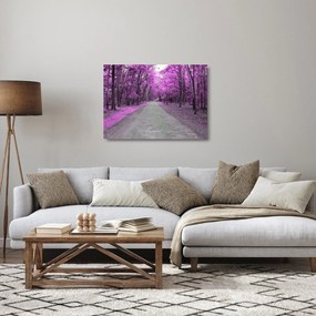 Sklenený obraz - Cesta parkom (70x50 cm)