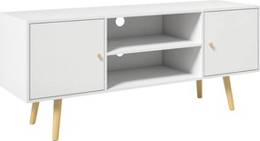 HOMCOM TV Stojan do Obývačky s 2 Dverami a 2 Poličkami pre TV do 55 Palcov - 120x34x50 cm Biela | Aosom