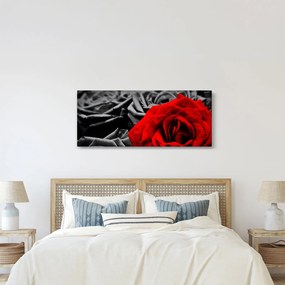 Obraz - Kvety ruží (120x50 cm)