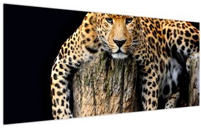 Obraz - Gepard (120x50 cm)