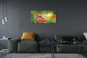Obraz na plátne Farebný motýľ kvety 140x70 cm