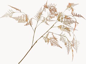 Ručne vyrobené rastlinné dekorácie Asparagus, 3 ks