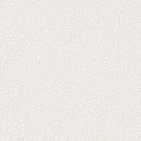 Dlažba Rako Betonico Outdoor bielosivá 60x60 cm mat DAR66790.1, (bal. 0,720 m2 )