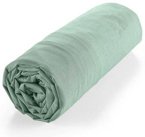 Svetlozelená napínacia plachta z Bio bavlny 140x190 cm Biolina – douceur d'intérieur