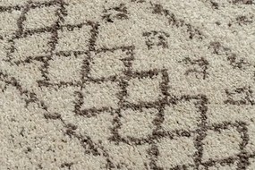 Shaggy koberec Berber Veľkosť: 200x290cm
