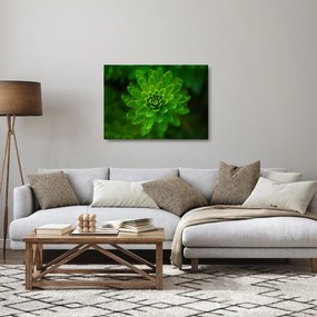 Sklenený obraz ihličnanu (70x50 cm)