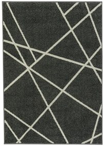Koberce Breno Kusový koberec PORTLAND 2605/RT4Z, sivá, viacfarebná,120 x 170 cm