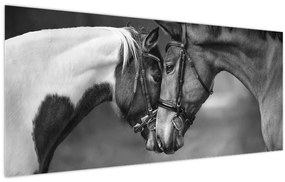 Obraz - Zamilované kone, čiernobiela (120x50 cm)