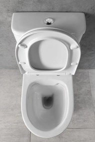 Bruckner Bruckner, DARIO RIMLESS WC kombi misa s nádržkou, spodný/zadný odpad, biela, 201.431.4