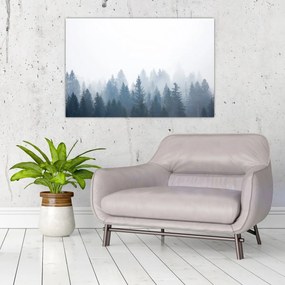 Obraz - Zahmlený les (90x60 cm)