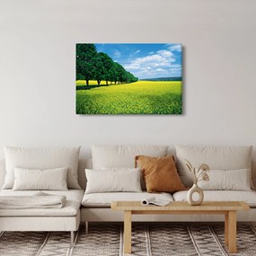 Obraz poľa s alejou (90x60 cm)