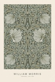 Obrazová reprodukcia Pimpernel (Special Edition Classic Vintage Pattern) - William Morris, (26.7 x 40 cm)