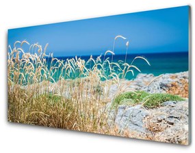 Obraz na skle Pláž príroda 120x60 cm
