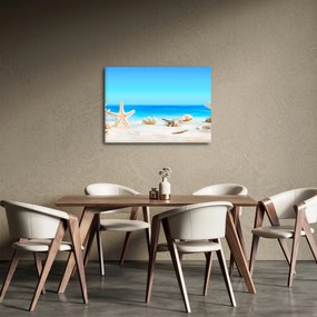 Obraz - Zátišie s mušľami (70x50 cm)