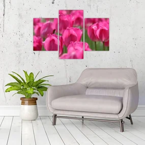 Obraz - Ružové tulipány (90x60 cm)
