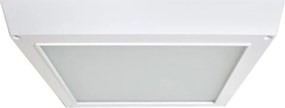 Stropné LED svietidlo Evora Square, 1x LED 20w, 6000k, w