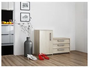 Skrinka na topánky PARIS dub sonoma