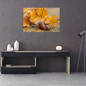 Obraz - Jesenné žalude (90x60 cm)