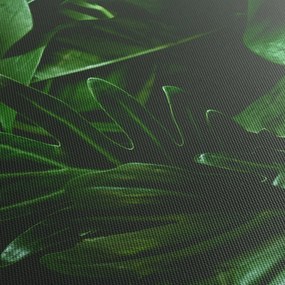 Obraz - Palmové listy (120x50 cm)