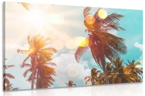 Obraz lúče slnka medzi palmami - 120x80