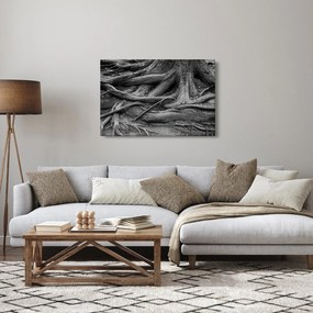 Obraz - Korene stromu (90x60 cm)