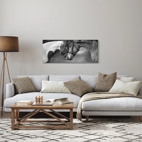 Obraz - Zamilované kone, čiernobiela (120x50 cm)