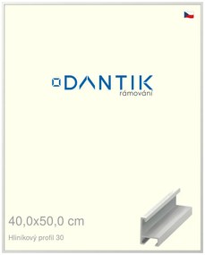 DANTIK rám na obraz 40x50 | ALU Bílá matná (Plexi Čiré)