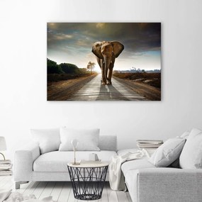 Gario Obraz na plátne Putovanie slona Rozmery: 90 x 60 cm
