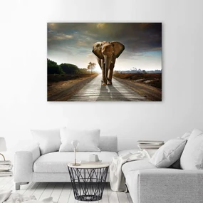 Gario Obraz na plátne Putovanie slona Rozmery: 90 x 60 cm