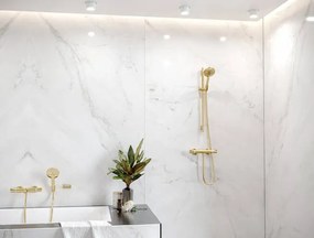 Hansgrohe Raindance Select S, ručná sprcha 120 3jet EcoSmart, leštený vzhľad zlata, HAN-26531990