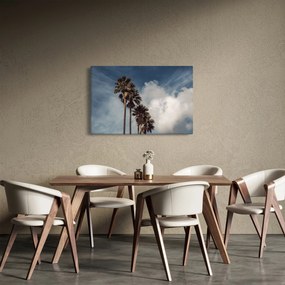 Obraz - Palmová dráma (90x60 cm)